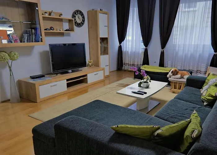 Lily\'S Home